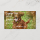 Buscar irish tarjetas de visita Perro