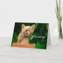 Buscar sorry tarjetas Adorable