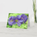 Buscar horticultura tarjetas Floral
