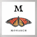 Buscar mariposas de monarca posters Insecto