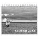 Buscar vida salvaje calendarios Fotografía