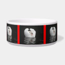 Buscar inglaterra mascotas Perro