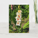 Buscar gladiolos tarjetas Para ella