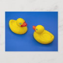 Buscar caucho ducky tarjetas Insensible
