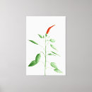 Buscar dibujos botánicos lienzos Naturaleza