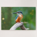 Buscar pájaros puzzles Paisaje