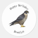 Buscar peregrino pegatinas Raptor