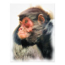 Buscar monos posters General y unisex