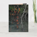 Buscar árbol desnudo tarjetas Otoño