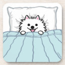 Buscar cama posavasos Animales