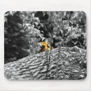 Buscar tiger alfombrillas de raton Tigre