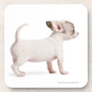 Buscar oficina posavasos Integral