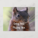 Buscar falta postales Que le falta