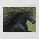 Buscar caballos españoles postales Caballo español