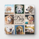 Buscar placa conmemorativa del perro placas fotograbadas Keepsake