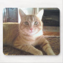 Buscar manos alfombrillas de raton Gato