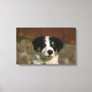 Buscar captura arte Perro