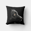 Buscar razas del perro cojines Animales