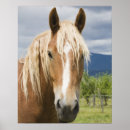 Buscar partes del caballo posters Al aire libre