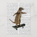 Buscar meerkat postales Veta de vapor