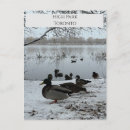 Buscar toronto postales Lago