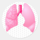 Buscar pulmones pegatinas Médico