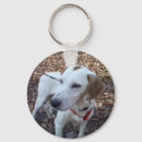 Buscar rescate llaveros Adopción