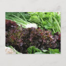 Buscar apio postales Alimento