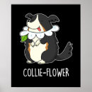 Buscar border collie arte General y unisex