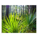 Buscar retroiluminado posters Bosque