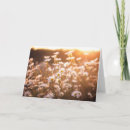 Buscar bueyes tarjetas Floral