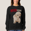 Buscar labrador retriever sudaderas Adorable