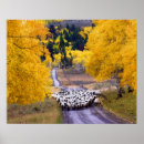 Buscar oeste americano posters País