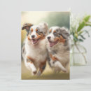 Buscar perro nacional tarjetas General y unisex