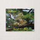 Buscar halcones puzzles General y unisex