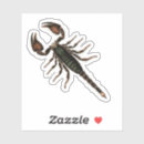 Buscar escorpión pegatinas Vintage