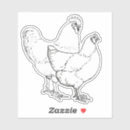 Buscar gallo y gallina pegatinas Aves de corral