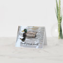 Buscar drake tarjetas Mallard