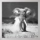 Buscar elefantes antiguos posters África