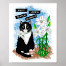 Buscar gato blanco y negro posters 9 º gata