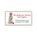 Buscar weimaraner postales Gris