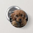 Buscar arte chapas General y unisex