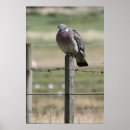 Buscar northumberland posters Rural