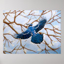 Buscar urracas posters Naturaleza