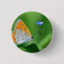Buscar mariposa verde chapas Amarillo