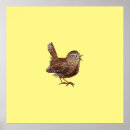 Buscar pájaros posters Cualquier niño