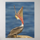 Buscar boca abierta posters Animales salvajes