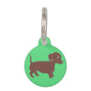 Buscar dog mascotas Dachshund