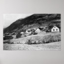 Buscar kodiak fotografía Estados
