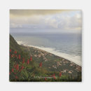 Buscar madeira imanes Planta
